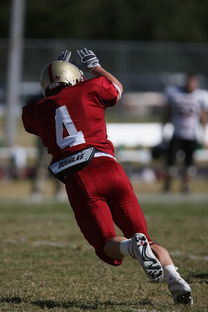 米兰体育官方网站APP下载-NBA球队防守战术演变分析，nba球队防守效率排行榜