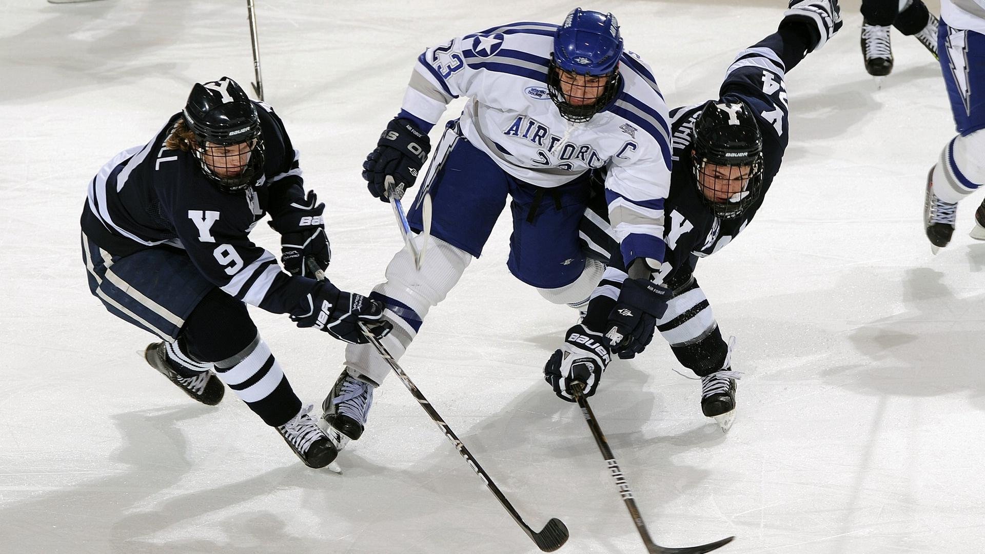 NBA联盟裁判员职业伦理建设与培训,nba裁判是职业的吗