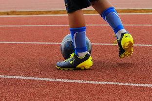 米兰体育正版平台-中国青少年篮球运动员体能素质发展规律，我国篮球青少年运动发展现状