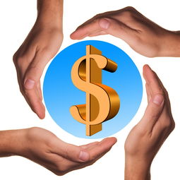 米兰体育官网入口-体育教学中增强现实与虚拟现实融合应用，结合教学实践谈谈示范在体育教学中的运用