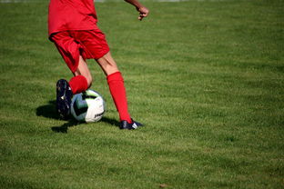 米兰体育网页版登陆-意甲裁判语义辅助判罚系统提升比赛公平性研究，意甲裁判球衣赞助商